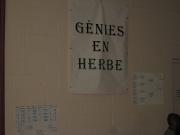 Banire Gnies en herbe